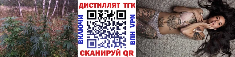 как найти   Медынь  МЕГА как зайти  ТГК концентрат 