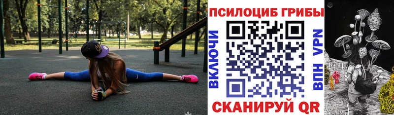 Псилоцибиновые грибы мицелий  Медынь 